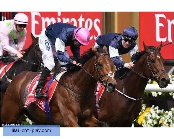 世界杯竞猜技巧揭秘 提升你的投注成功率 轻松赢得大奖